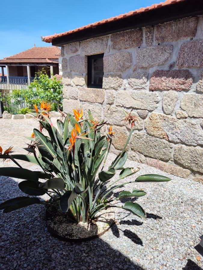 Vila Casas Do Arrabalde Amarante Exteriér fotografie